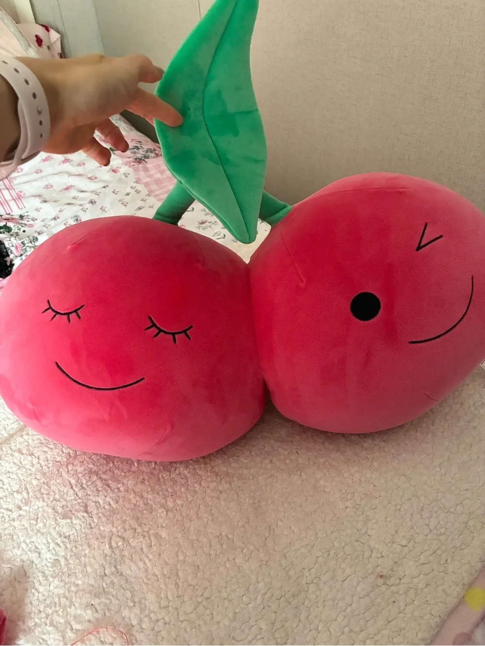 Fruit of the Loom Plush Cherry Twin Pillow - Pink & Green